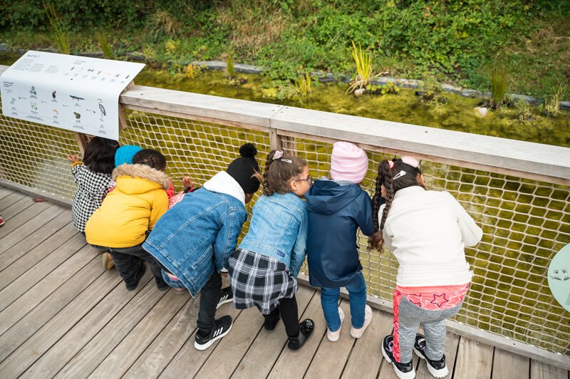 Enfants qui regardent la mare dans le Jardin de la Biodiversité du SPARKOH!
