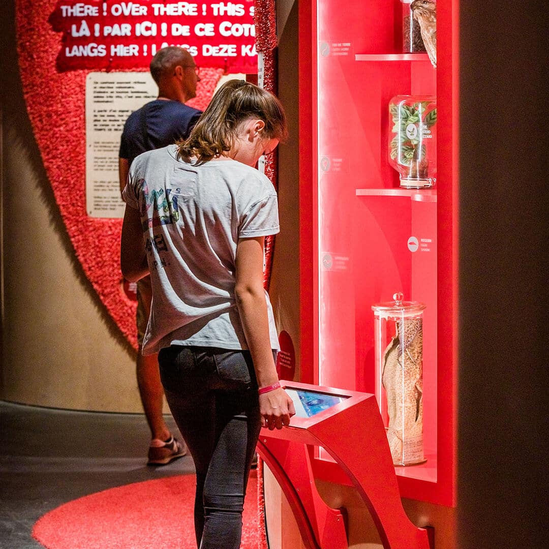 Jeune fille devant une vitrine du corps humain