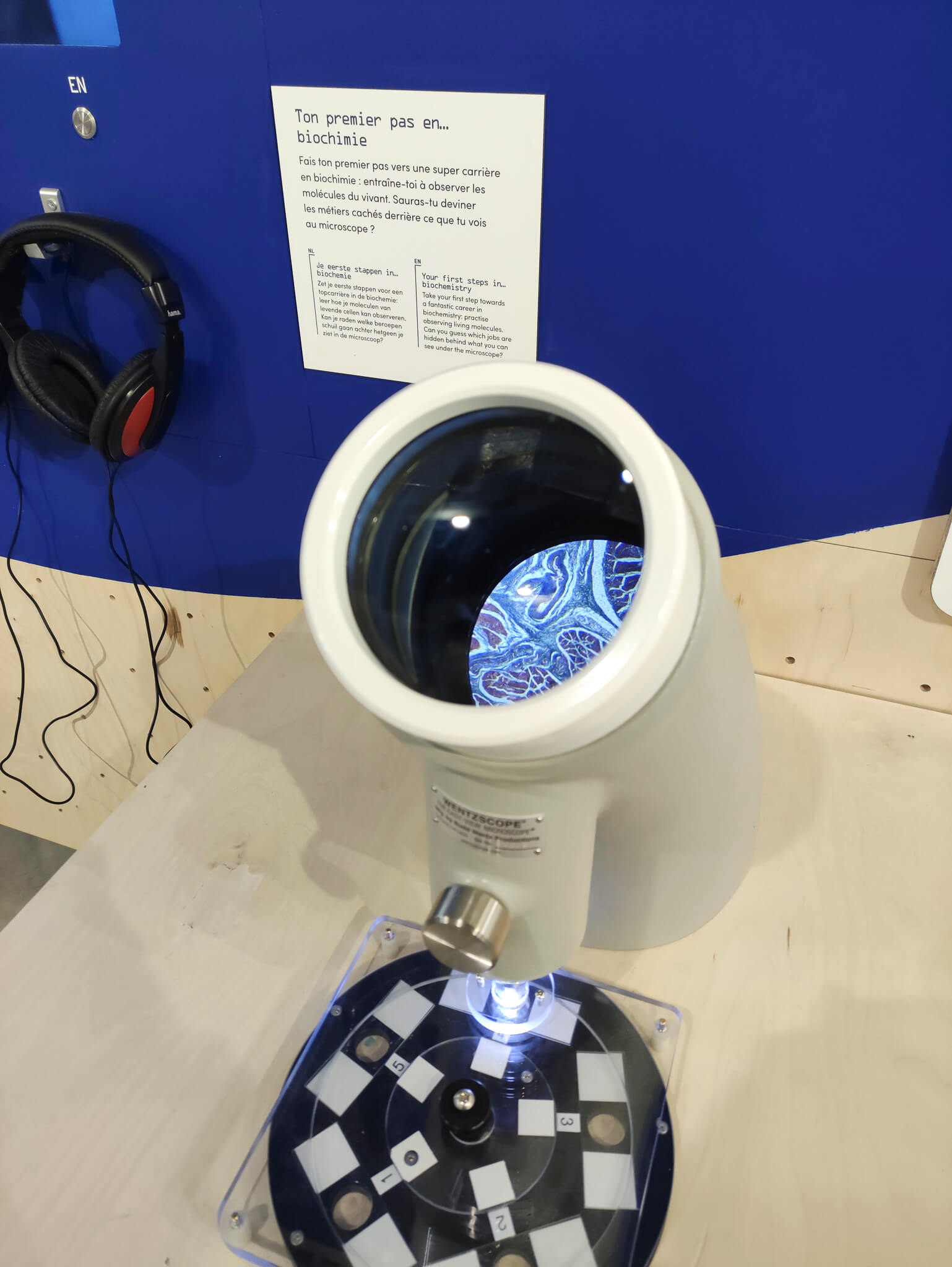 Microscope découverte dans l'expo Toi demain