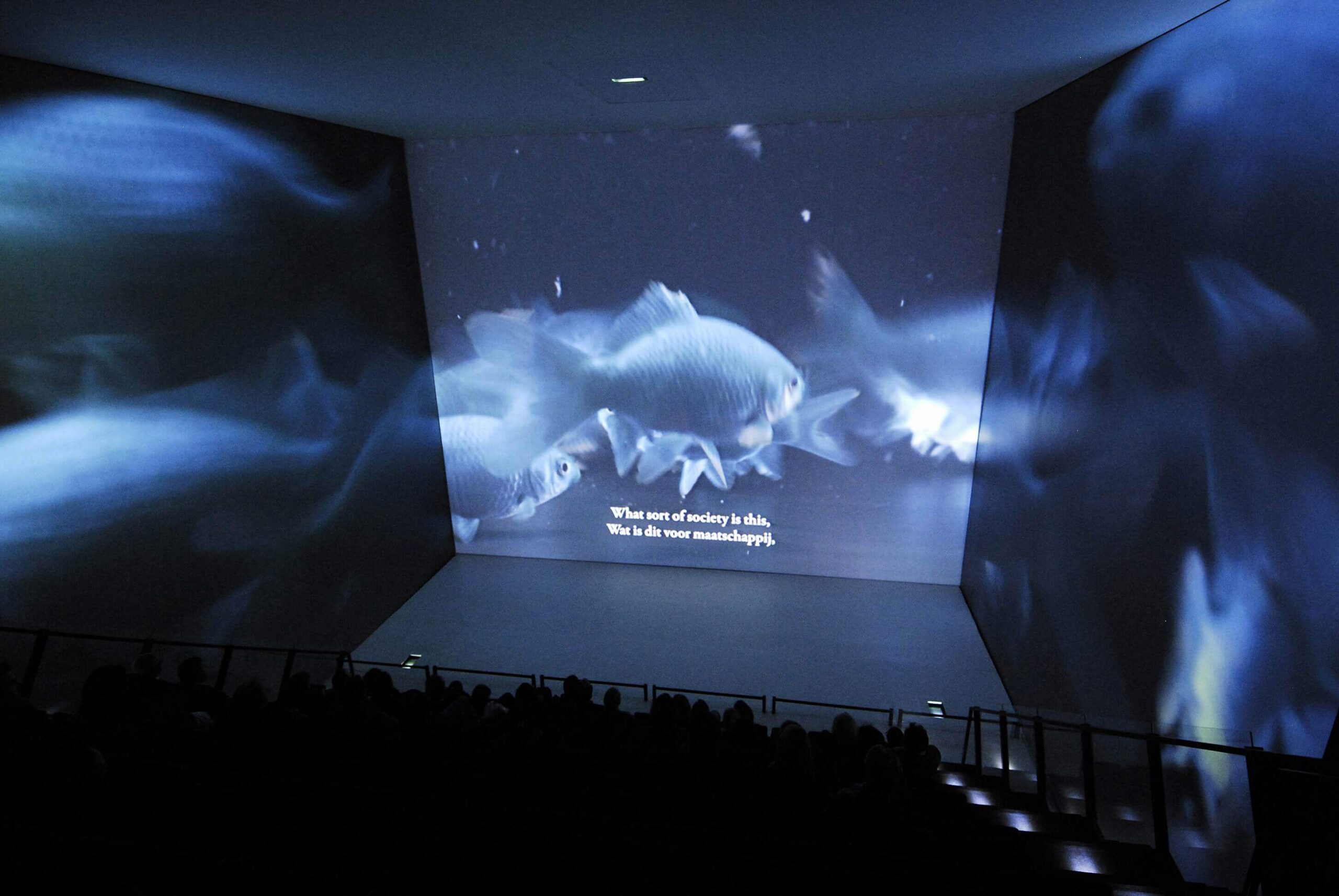 Film H2O scolaire au SPARKOH! projection océan sur 5 écrans